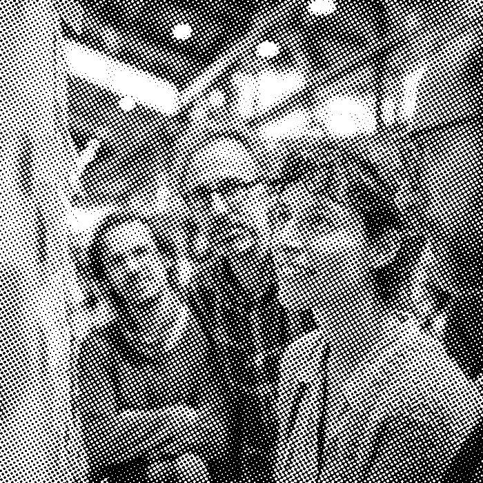 Formations générales à la transition écologique