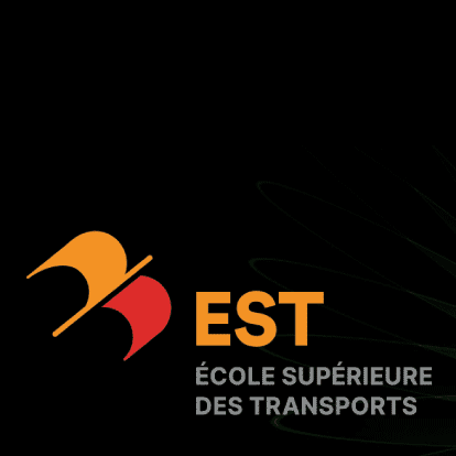Stratégie de transition énergétique du transport routier de marchandises