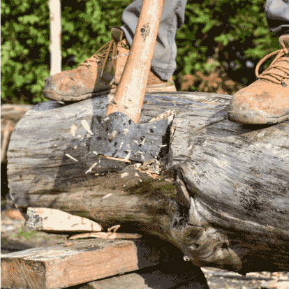 Du tronc à la poutre Du tronc à la poutre