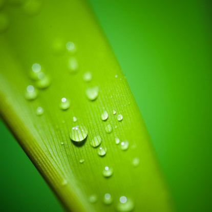 Smart Water Management