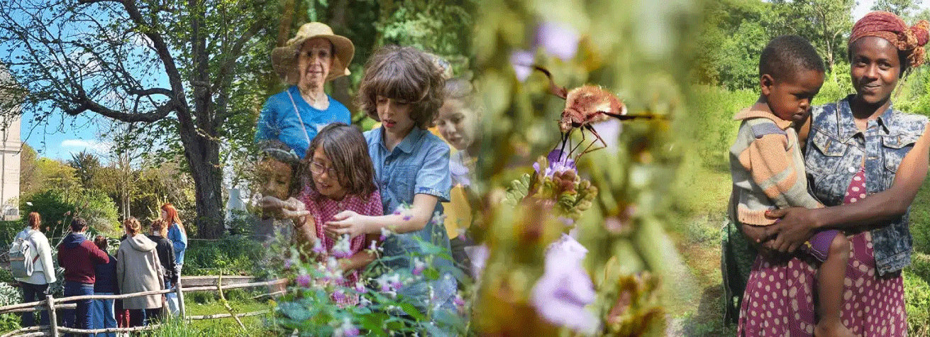 Bannière formation Fondation Good Planet Bannière formation Fondation Good Planet