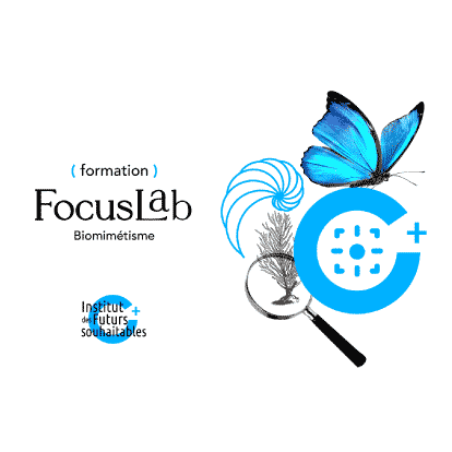 FocusLab Biomimétisme FocusLab Biomimétisme