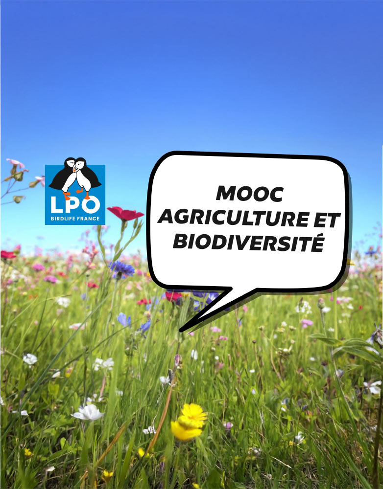 MOOC Agriculture et biodiversité MOOC Agriculture et biodiversité