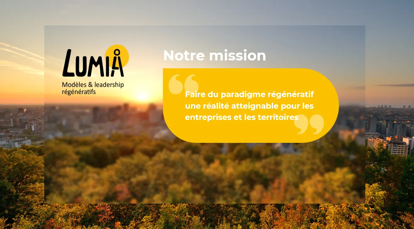 Bannière formation Lumia (Yuma)