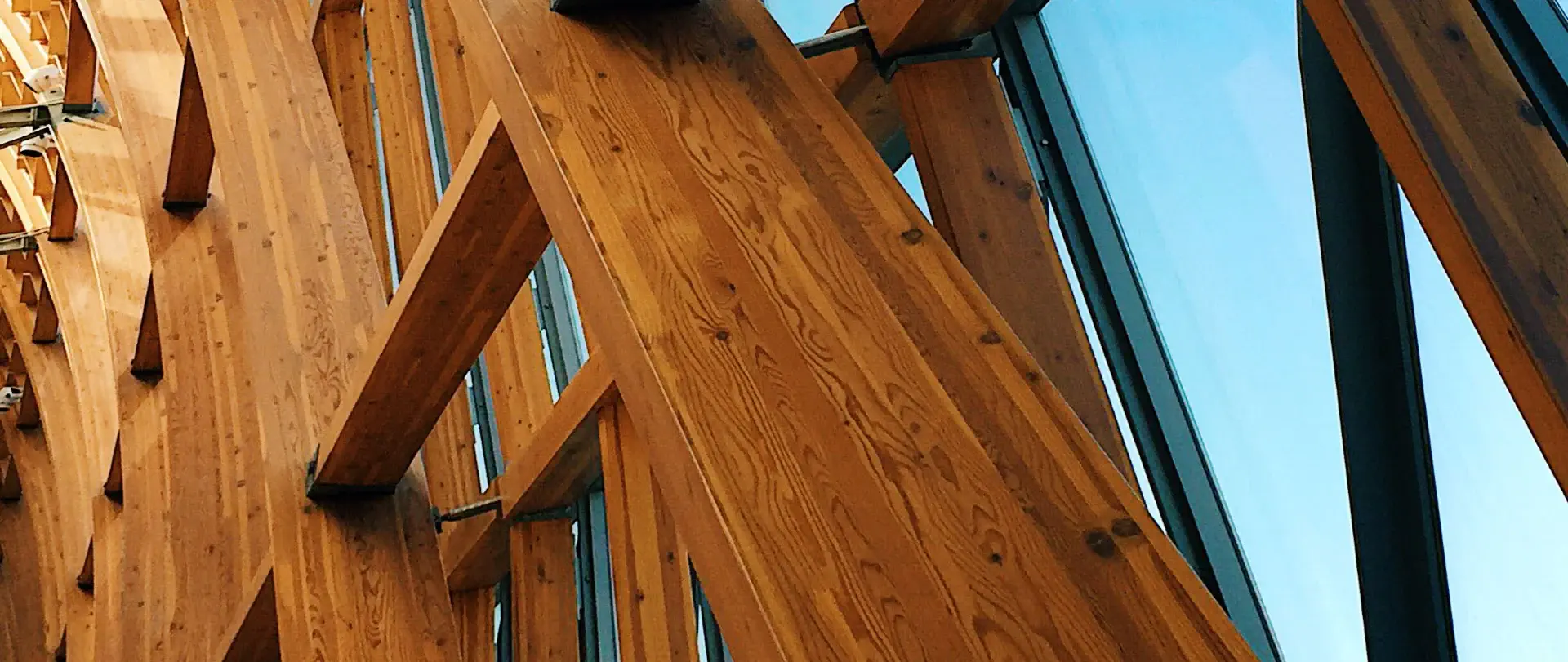 Identifier, estimer et optimiser l’empreinte carbone d’un projet