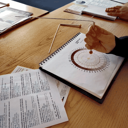 La géobiologie appliquée à un projet