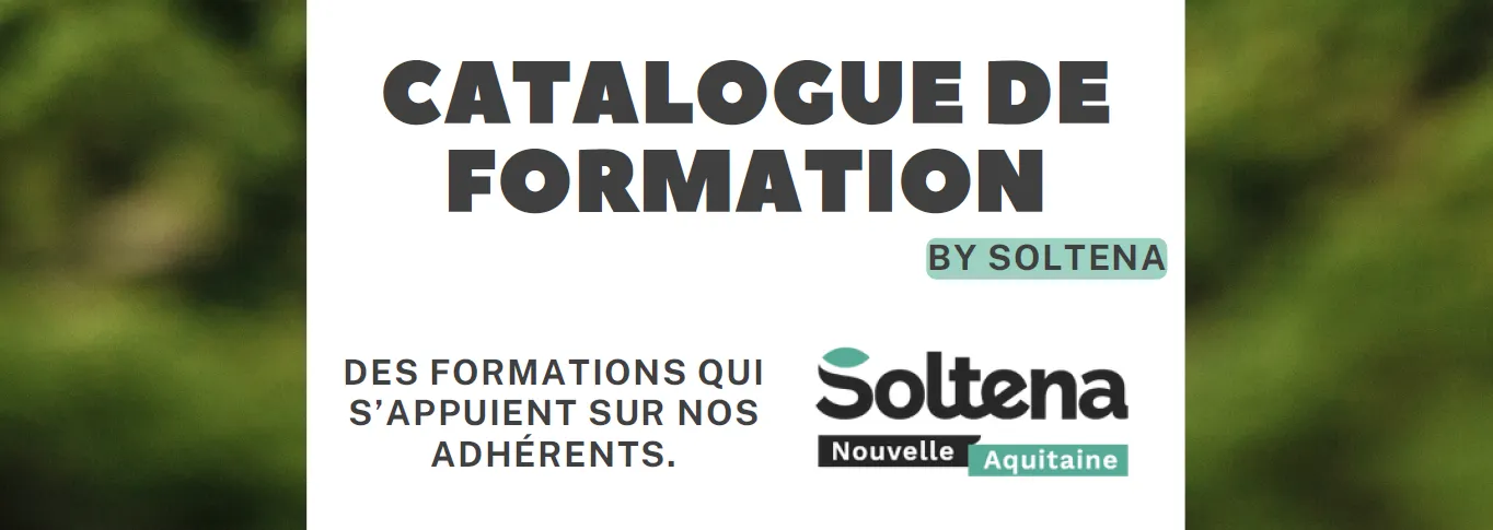 Bannière formation Soltena