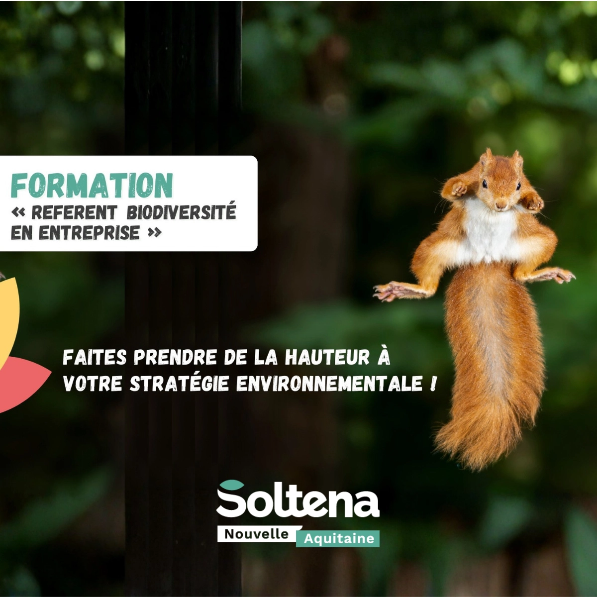 Comment intégrer la biodiversité dans une organisation ?