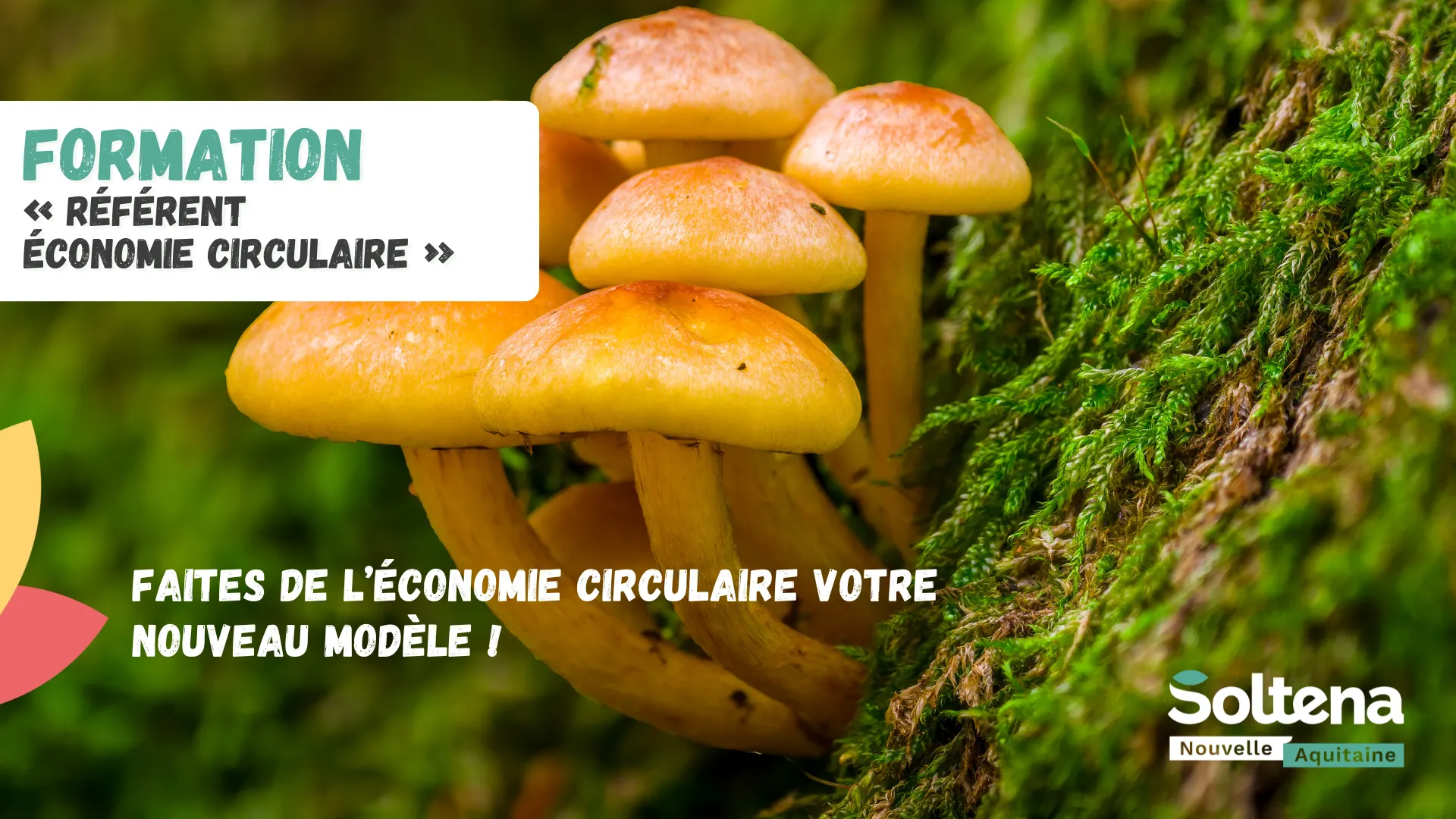 Référent économie circulaire