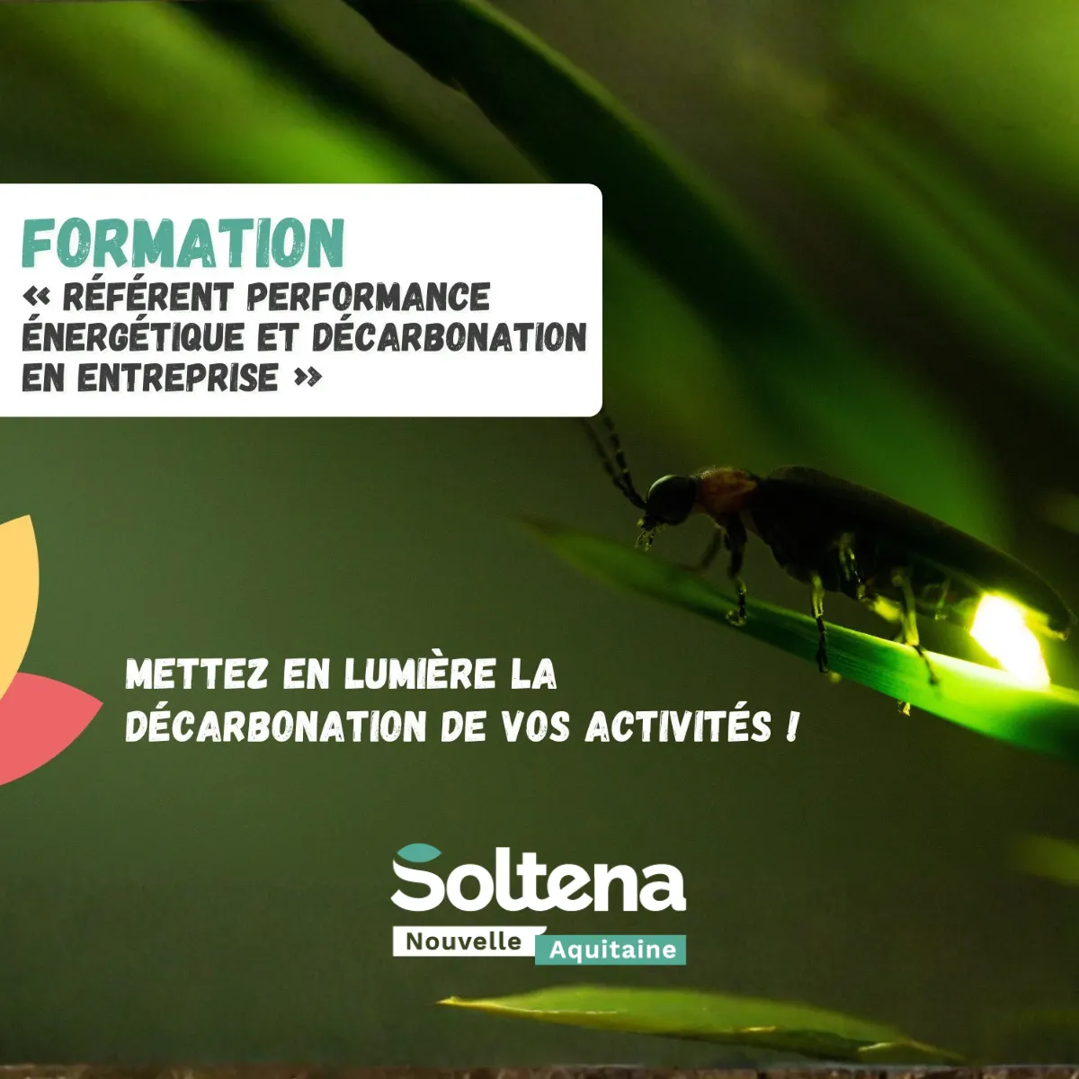 Référent performance énergétique et décarbonation en entreprise