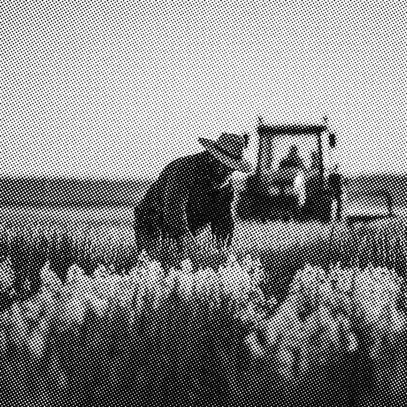 Agriculteur dans un champ en agriculture biologique trame fine