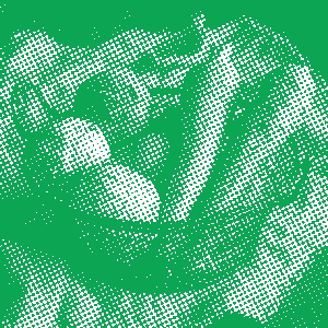 Panier de légumes bio tramé