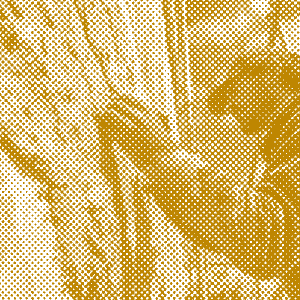 Ouvrier appliquant de la chaux sur un mur