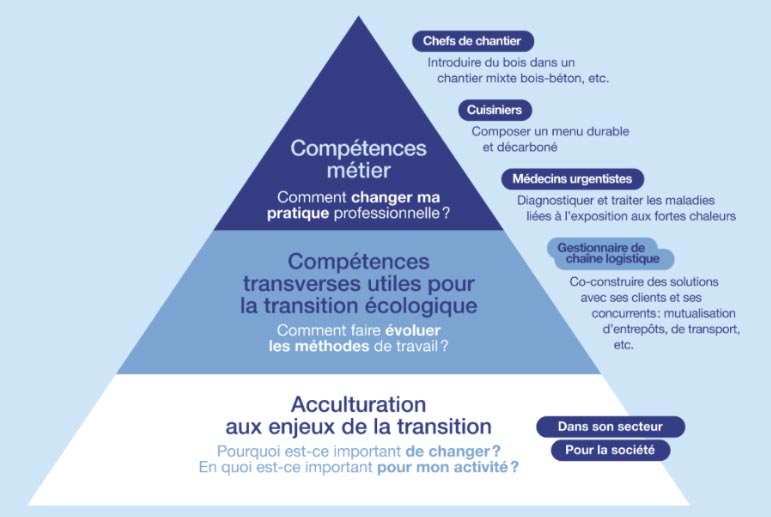 Pyramide des changement pour former les actifs pour la transition écologique